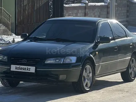 Toyota Camry 1999 года за 4 500 000 тг. в Шымкент