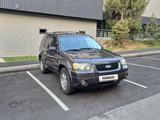 Ford Escape 2005 года за 3 700 000 тг. в Алматы – фото 2