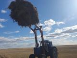 МТЗ (BELARUS)  80 1993 года за 3 000 000 тг. в Караганда – фото 2