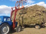 МТЗ (BELARUS)  80 1993 года за 3 000 000 тг. в Караганда