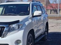 Toyota Land Cruiser Prado 2012 годаүшін16 500 000 тг. в Талдыкорган