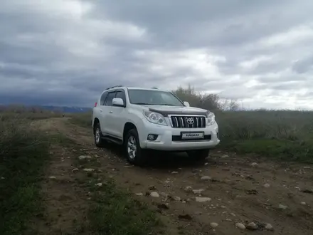 Toyota Land Cruiser Prado 2009 года за 15 500 000 тг. в Урджар – фото 2