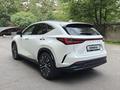 Lexus NX 250 2022 года за 26 900 000 тг. в Алматы – фото 3