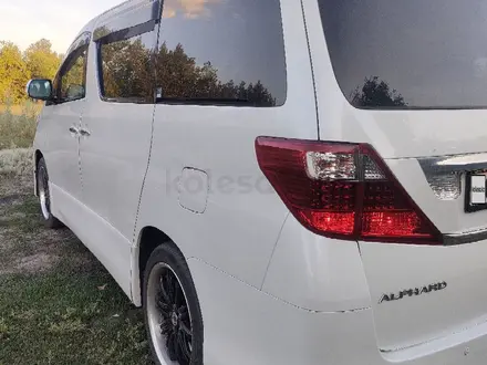 Toyota Alphard 2009 года за 11 300 000 тг. в Семей – фото 8