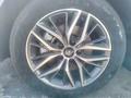 BYD Qin Plus 2024 г.