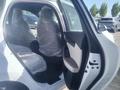 BYD Qin Plus 2024 г.