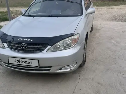 Toyota Camry 2002 года за 3 800 000 тг. в Алматы