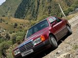 Mercedes-Benz E 230 1992 года за 3 150 000 тг. в Караганда – фото 5