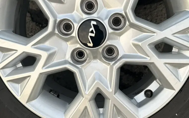 Сундет в Алматы