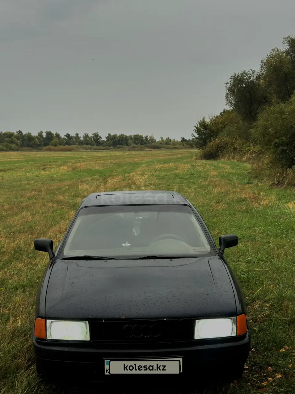 Audi 80, 1991