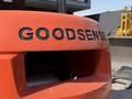 Goodsense  FD30 (3 т) 2025 годаүшін7 800 000 тг. в Алматы – фото 8