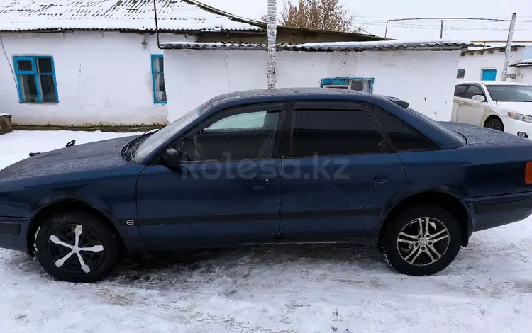 Audi 100 1993 года за 2 000 000 тг. в Жымпиты