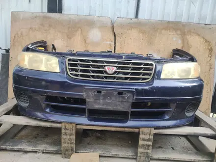 Авенир ноускат за 500 000 тг. в Алматы