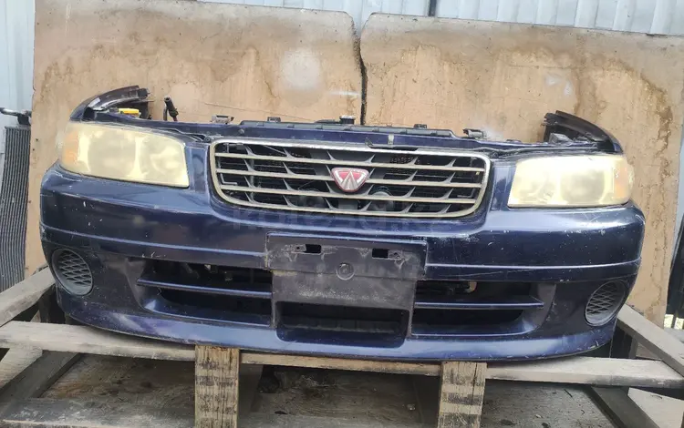 Авенир ноускат за 500 000 тг. в Алматы