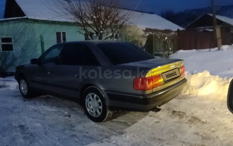 Audi 100 1993 годаүшін2 400 000 тг. в Есик