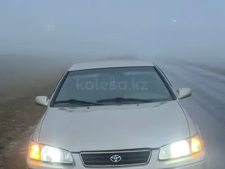 Toyota Camry 2001 года за 3 600 000 тг. в Астана