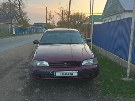 Toyota Carina E 1995 года за 1 500 000 тг. в Шу