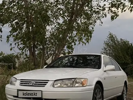 Toyota Camry 2001 года за 3 100 000 тг. в Алматы