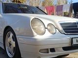 Mercedes-Benz E 430 1999 года за 3 600 000 тг. в Сарыагаш