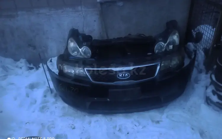 Ноускат за 350 000 тг. в Астана