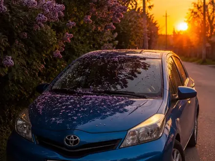 Toyota Yaris 2011 года за 5 300 000 тг. в Алматы
