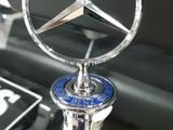Прицел на капот Mercedes Benz эмблема значок за 10 000 тг. в Алматы – фото 5