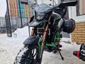  мотоцикл TEKKEN 300 R LINE PRO 2024 года за 1 030 000 тг. в Атырау – фото 30