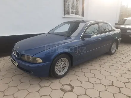 BMW 520 2002 года за 3 600 000 тг. в Тараз – фото 6