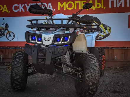 Tao Motor  250 X 2024 года за 845 000 тг. в Усть-Каменогорск