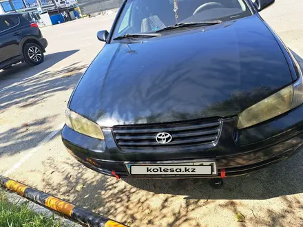 Toyota Camry 1998 года за 3 300 000 тг. в Кызылорда