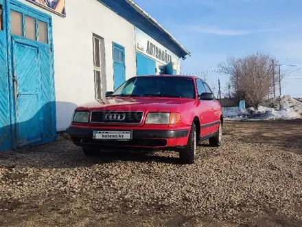 Audi 100 1993 года за 1 800 000 тг. в Кокшетау