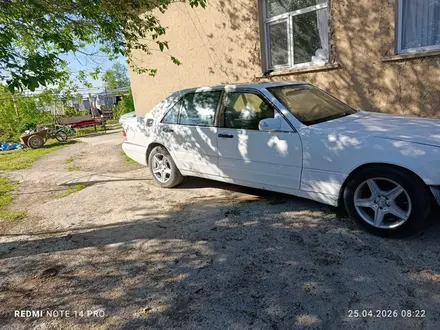 Mercedes-Benz S 320 1996 года за 1 200 000 тг. в Шымкент – фото 2