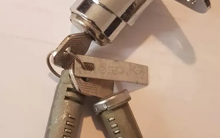 Личинки замков за 6 500 тг. в Алматы