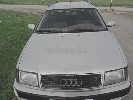 Audi 100 1993 года за 2 000 000 тг. в Петропавловск