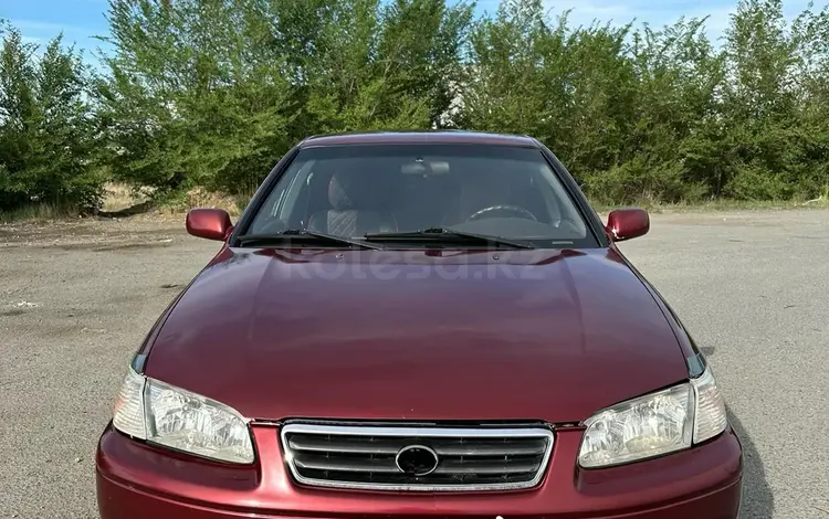 Toyota Camry 1999 года за 2 700 000 тг. в Семей