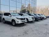 ORBIS AUTO Автомобили с пробегом в Алматы – фото 2
