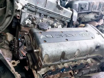 F4AEL Pin 7 коробка автомат Кия Хендай Акпп A5D, S5D, двигатель T8D, G4CP за 22 000 тг. в Актобе – фото 8