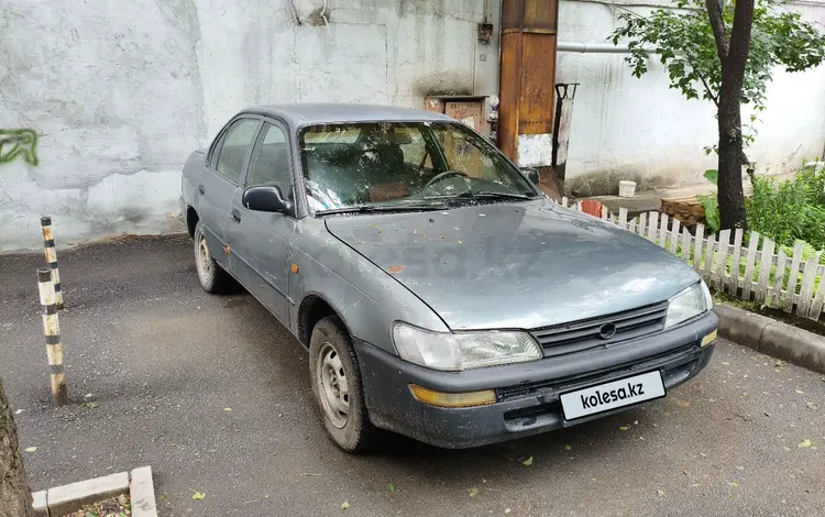 Toyota Corolla 1996 годаүшін800 000 тг. в Алматы