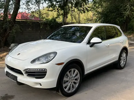 Porsche Cayenne, 2010