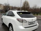 Lexus RX 350 2012 года за 13 000 000 тг. в Тараз – фото 5