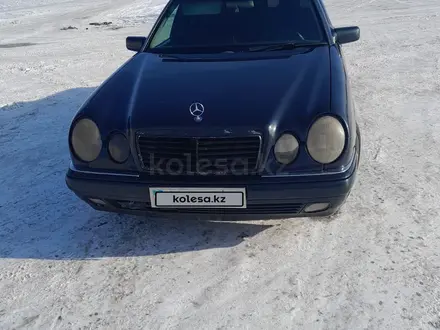 Mercedes-Benz E 200 1999 года за 2 200 000 тг. в Кокшетау – фото 5