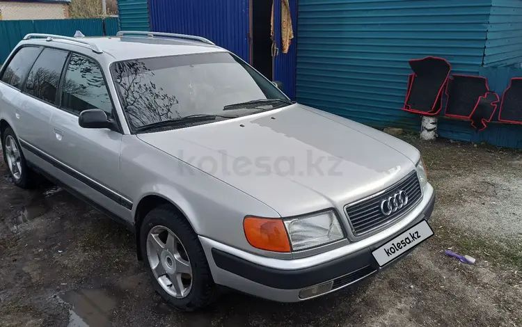 Audi 100 1992 года за 3 000 000 тг. в Петропавловск