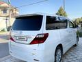 Toyota Alphard 2008 года за 8 200 000 тг. в Шымкент – фото 10