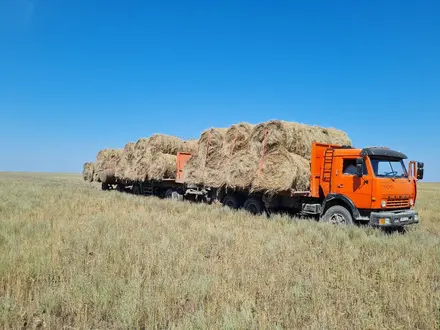 КамАЗ 1990 года за 9 500 000 тг. в Казталовка – фото 14