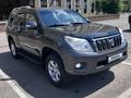 Toyota Land Cruiser Prado 2011 года за 15 500 000 тг. в Нур-Султан (Астана) – фото 12