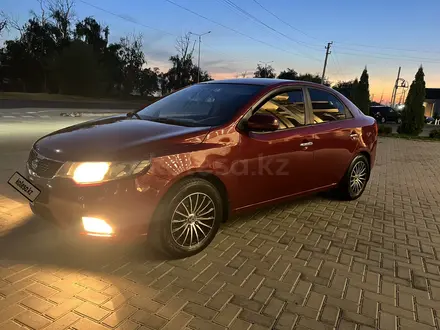 Kia Cerato 2012 года за 4 500 000 тг. в Алматы – фото 10