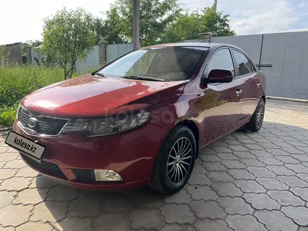 Kia Cerato 2012 года за 4 500 000 тг. в Алматы – фото 4