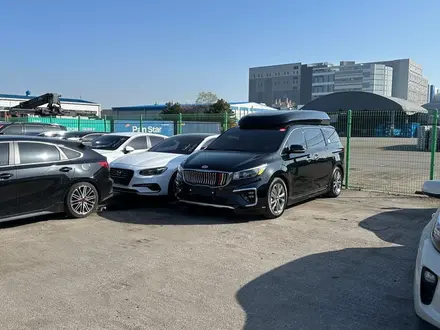 Kia Carnival 2019 года за 16 500 000 тг. в Алматы – фото 63