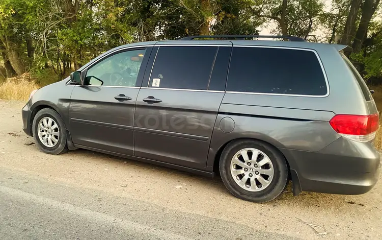 Honda Odyssey 2008 года за 7 300 000 тг. в Тараз