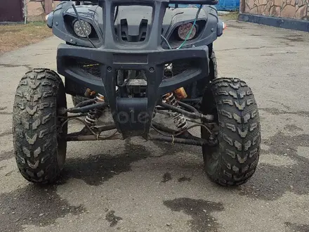 Tao Motor  250 X 2020 года за 550 000 тг. в Аршалы